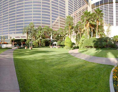 Flamingo Exterior